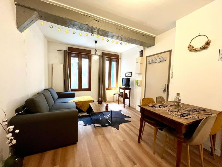 Le Countryside- Hyper Centre Apartamento Sens Exterior foto
